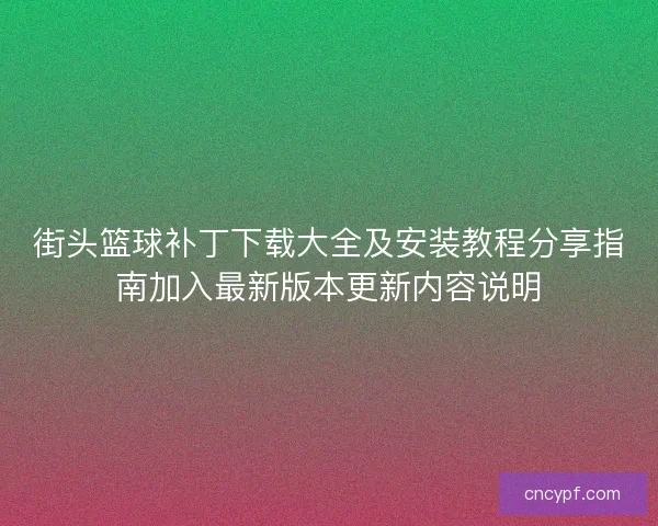 街头篮球补丁下载大全及安装教程分享指南加入最新版本更新内容说明