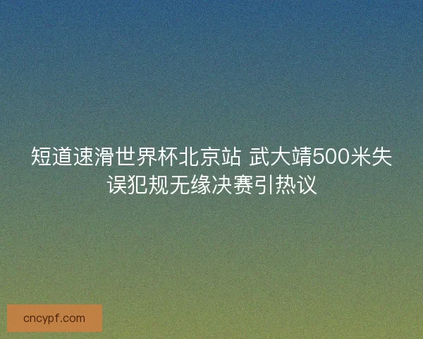 短道速滑世界杯北京站 武大靖500米失误犯规无缘决赛引热议