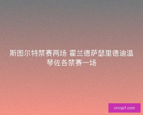 斯图尔特禁赛两场 霍兰德萨瑟里德迪温琴佐各禁赛一场
