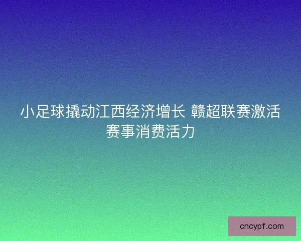 小足球撬动江西经济增长 赣超联赛激活赛事消费活力